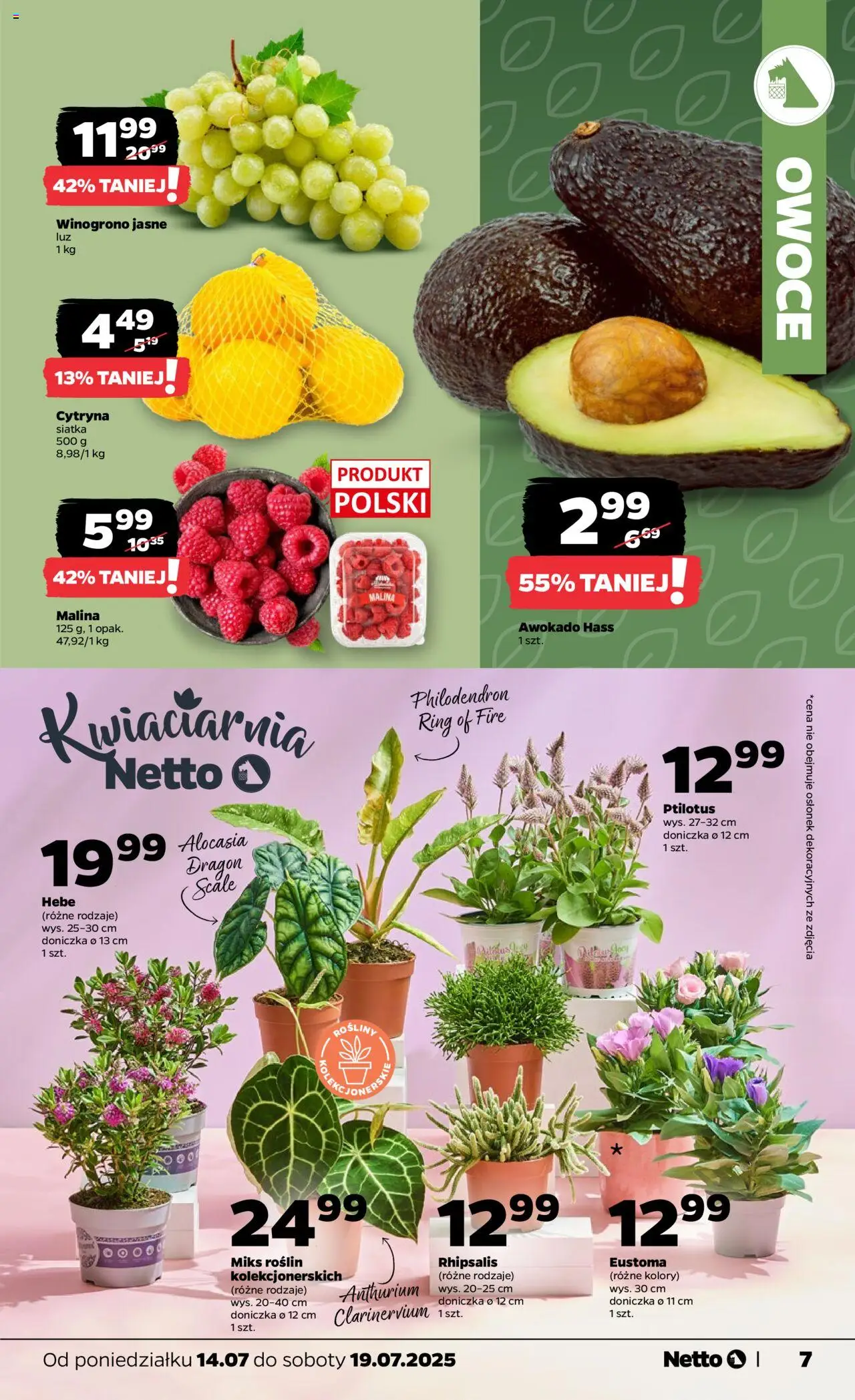 Netto gazetka - Spożywcza od 14.07.2025 | Strona: 7 | Produkty: Cytryna, Siatka, Doniczka, Rosliny