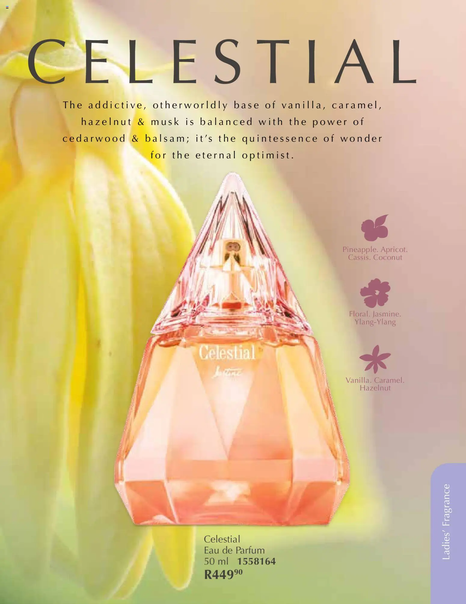 New Justine catalogue – valid from 01.01.2026 | Page: 54