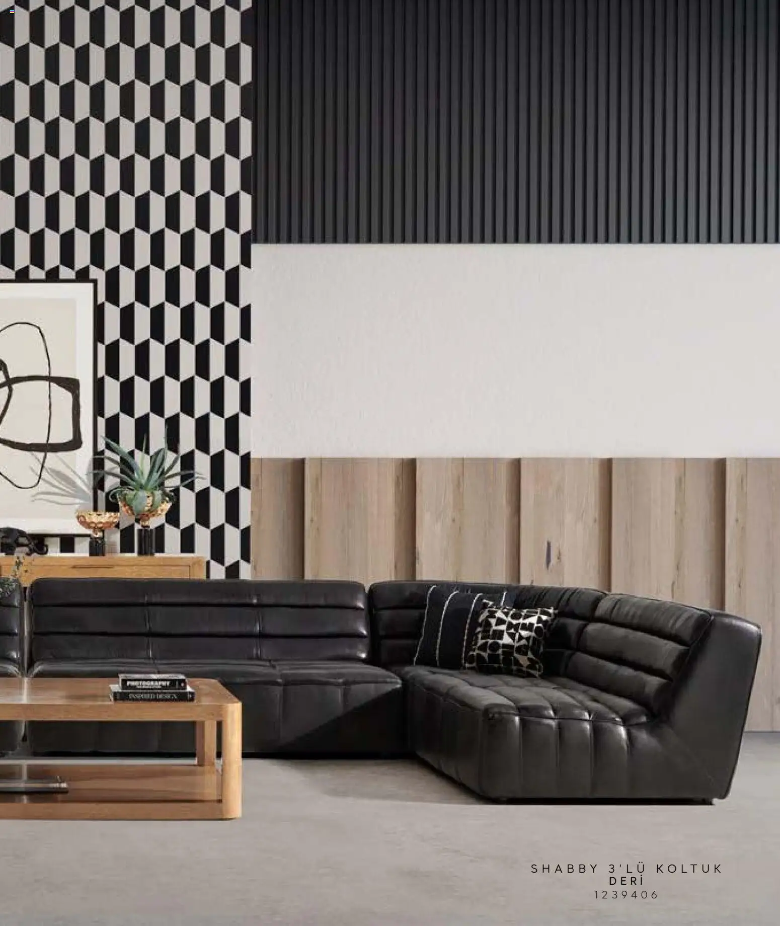 Mudo - Katalog Deri Sıklığı 2026 - 01.01.2026 tarihinden itibaren geçerlidir | Sayfa: 49 | Ürünler: Koltuk