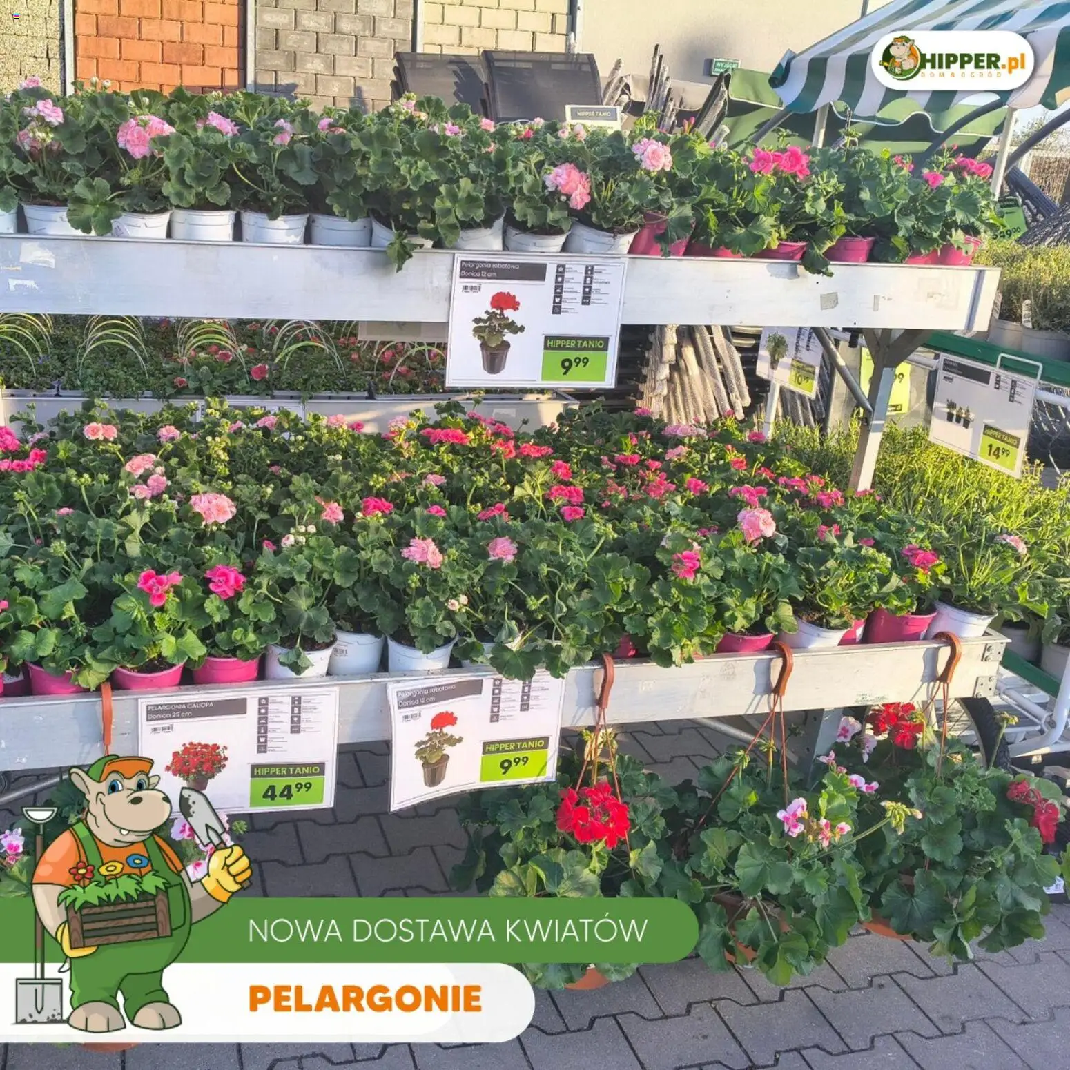 Hipper gazetka od 24.04.2026 | Strona: 7