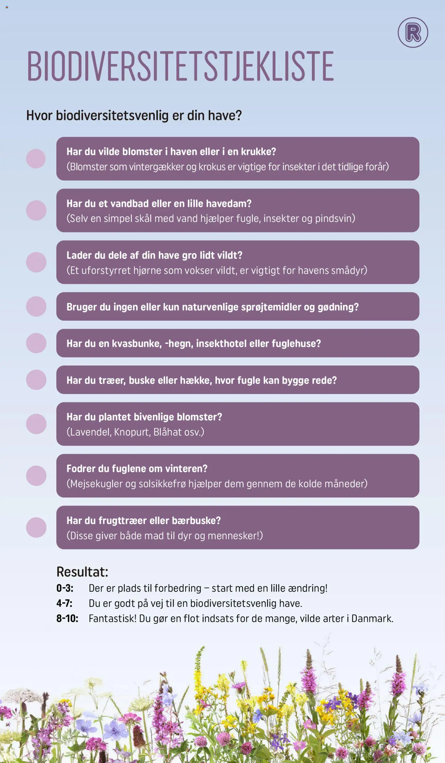 Rema 1000 tilbudsavis – gyldig fra 03.03.2026 | Side: 11 | Produkter: Krukke, Søm