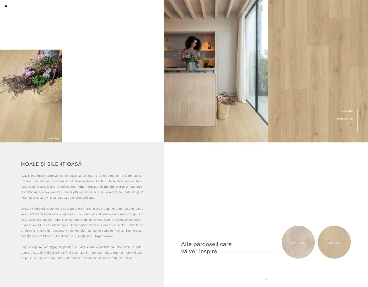 Noul catalog Proges – valabil de la 20.12.2025 | Pagină: 10 | Produse: Mici