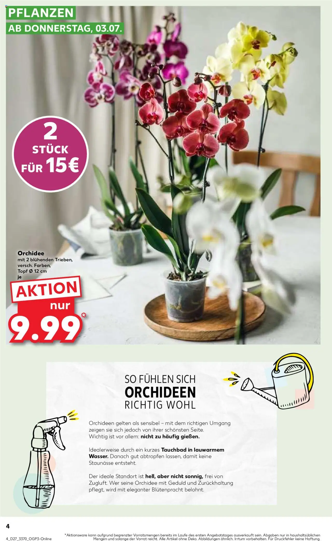 Kaufland Prospekt 	 - gültig ab dem 03.07.2025 | Seite: 4 | Produkte: Orchidee