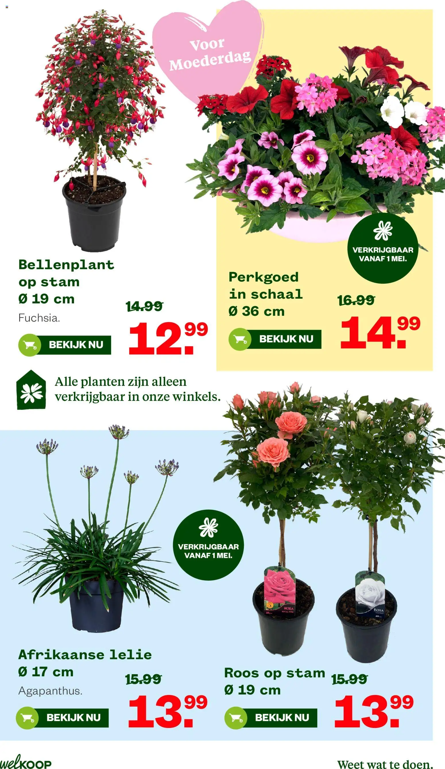 {H1} | Pagina: 5 | Producten: Schaal