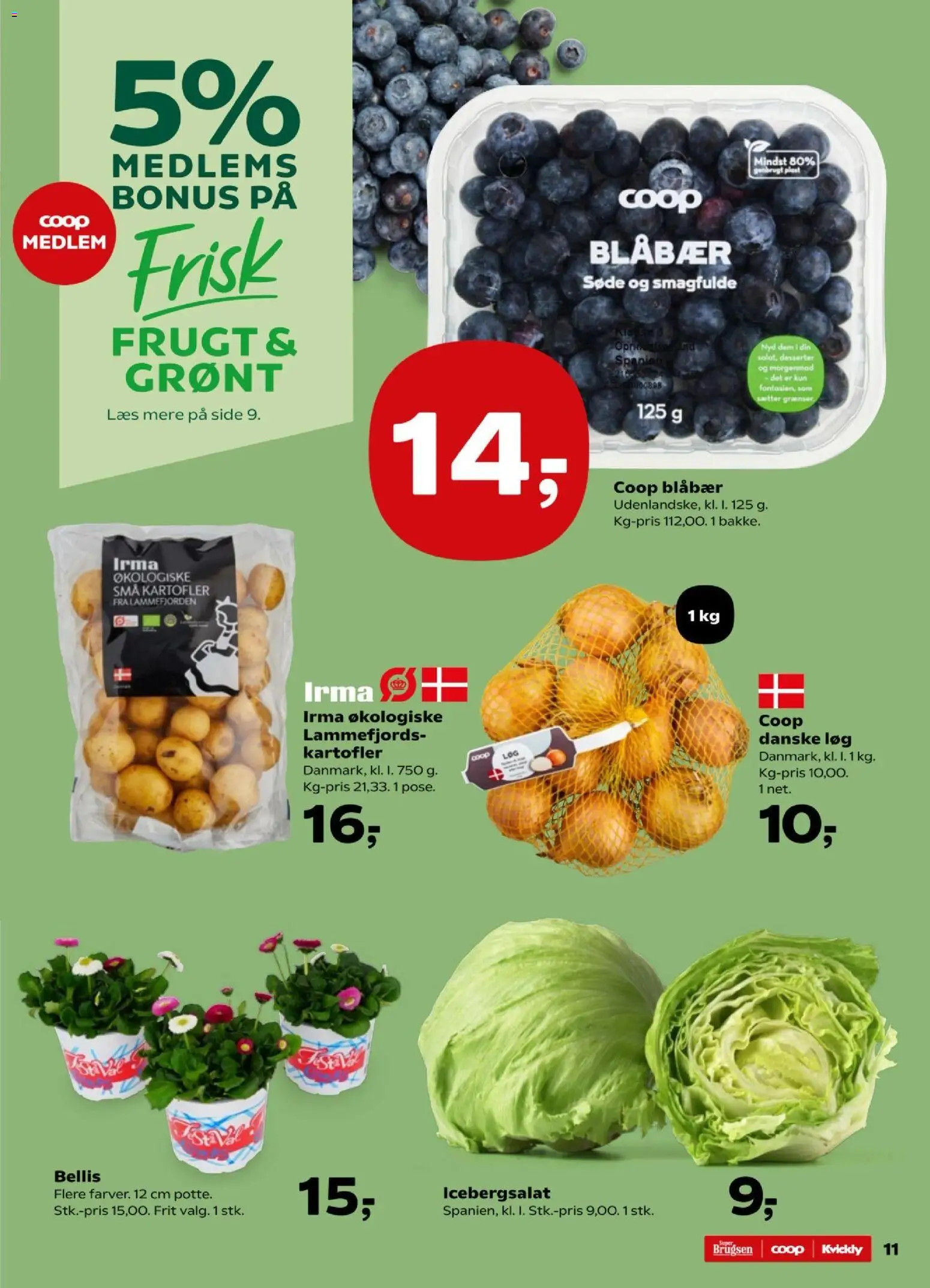 Super Brugsen tilbudsavis – gyldig fra 20.02.2026 | Side: 13 | Produkter: Blåbær, Løg, Søm, Icebergsalat