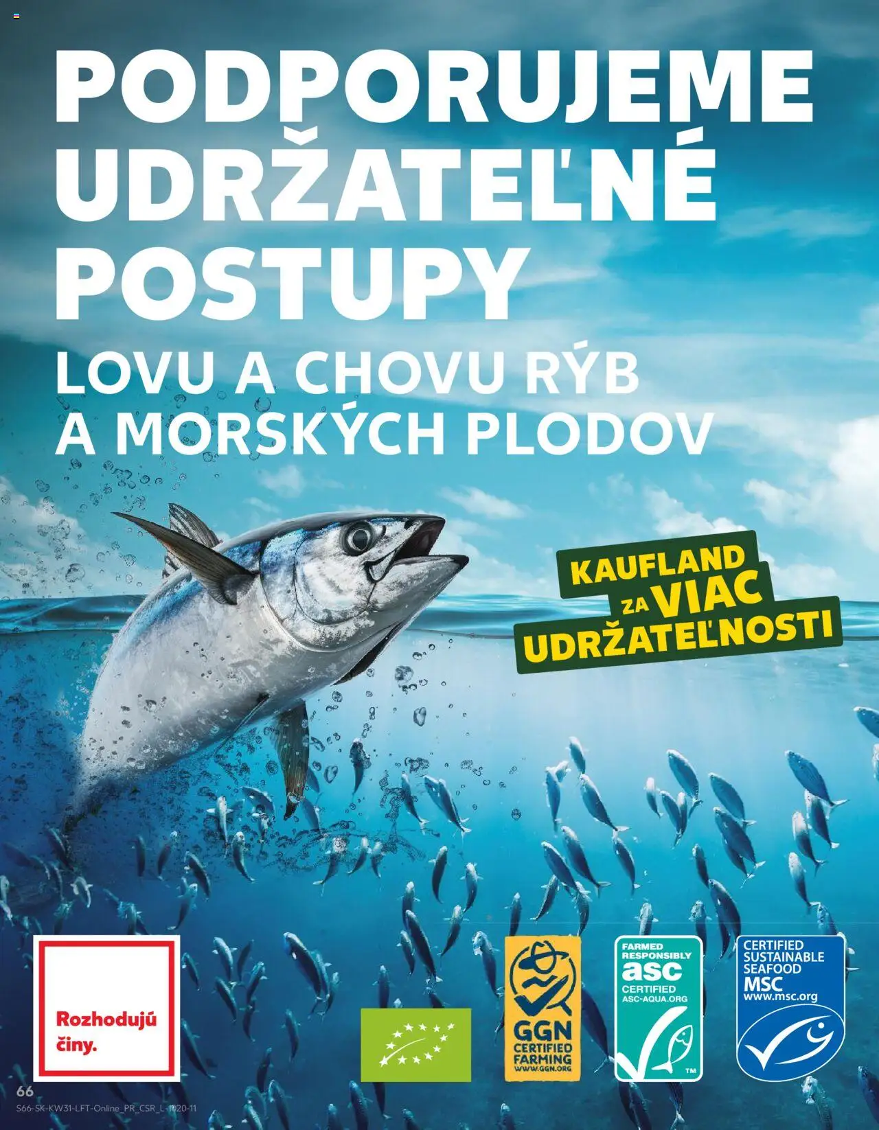 Kaufland Bratislava-Rača │ platný od 31.07.2025 | Strana: 66
