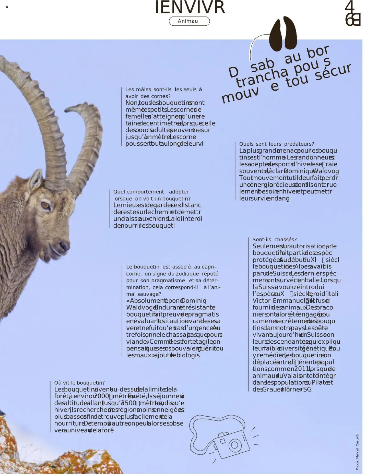 Migros Magazin FR – gültig ab 20.10.2025 | Seite: 49