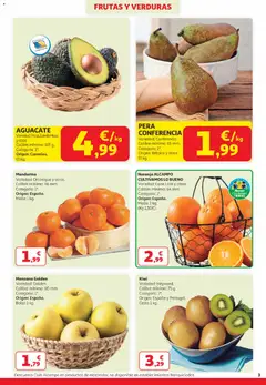 Vista previa Alcampo  Canarias válido desde el 25.03.2026 | Página: 3 | Productos: Kiwi, Manzana, Bolsa, Cesta