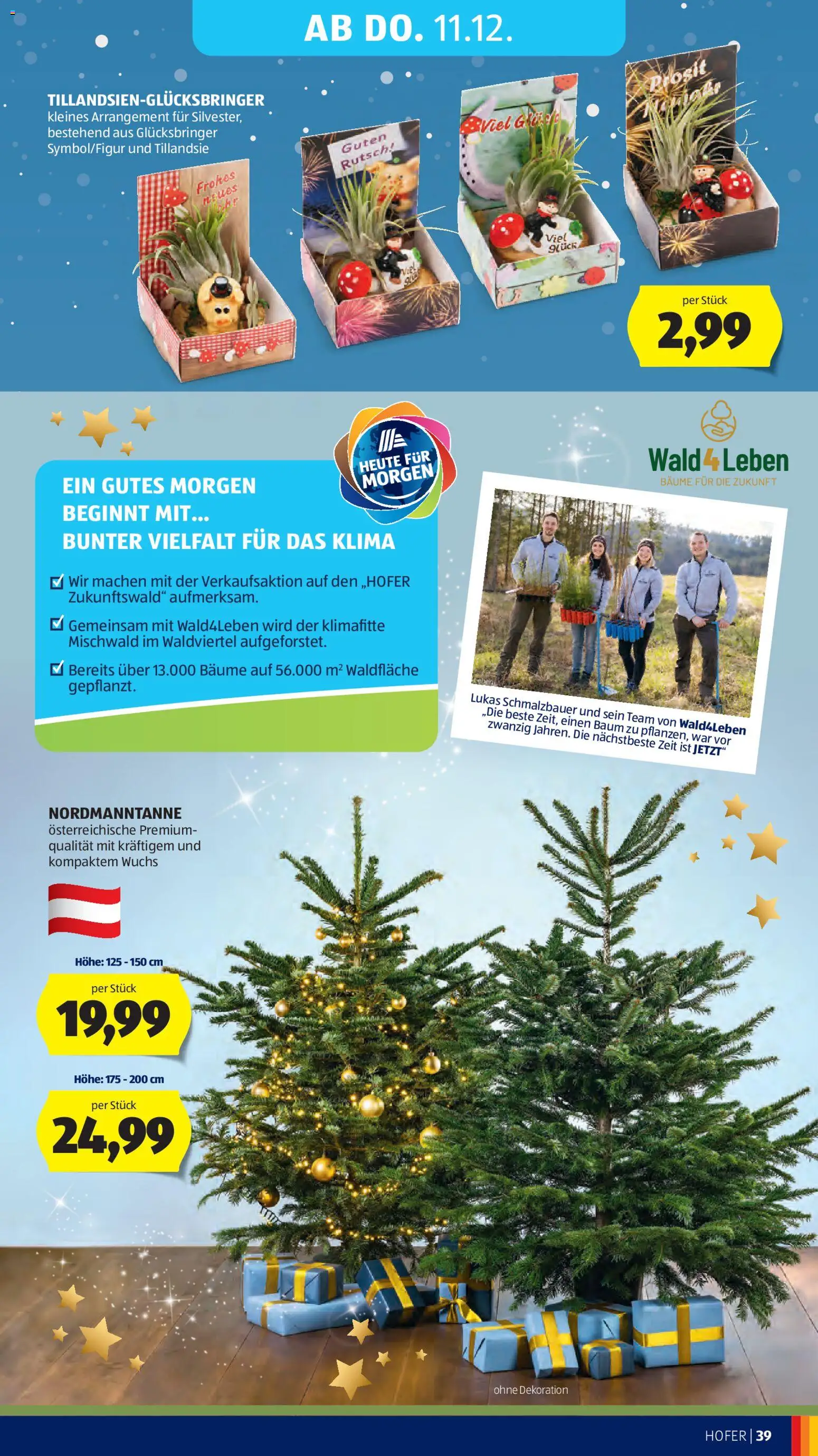 Hofer Flugblatt gültig ab 05.12.2025 | Seite: 53