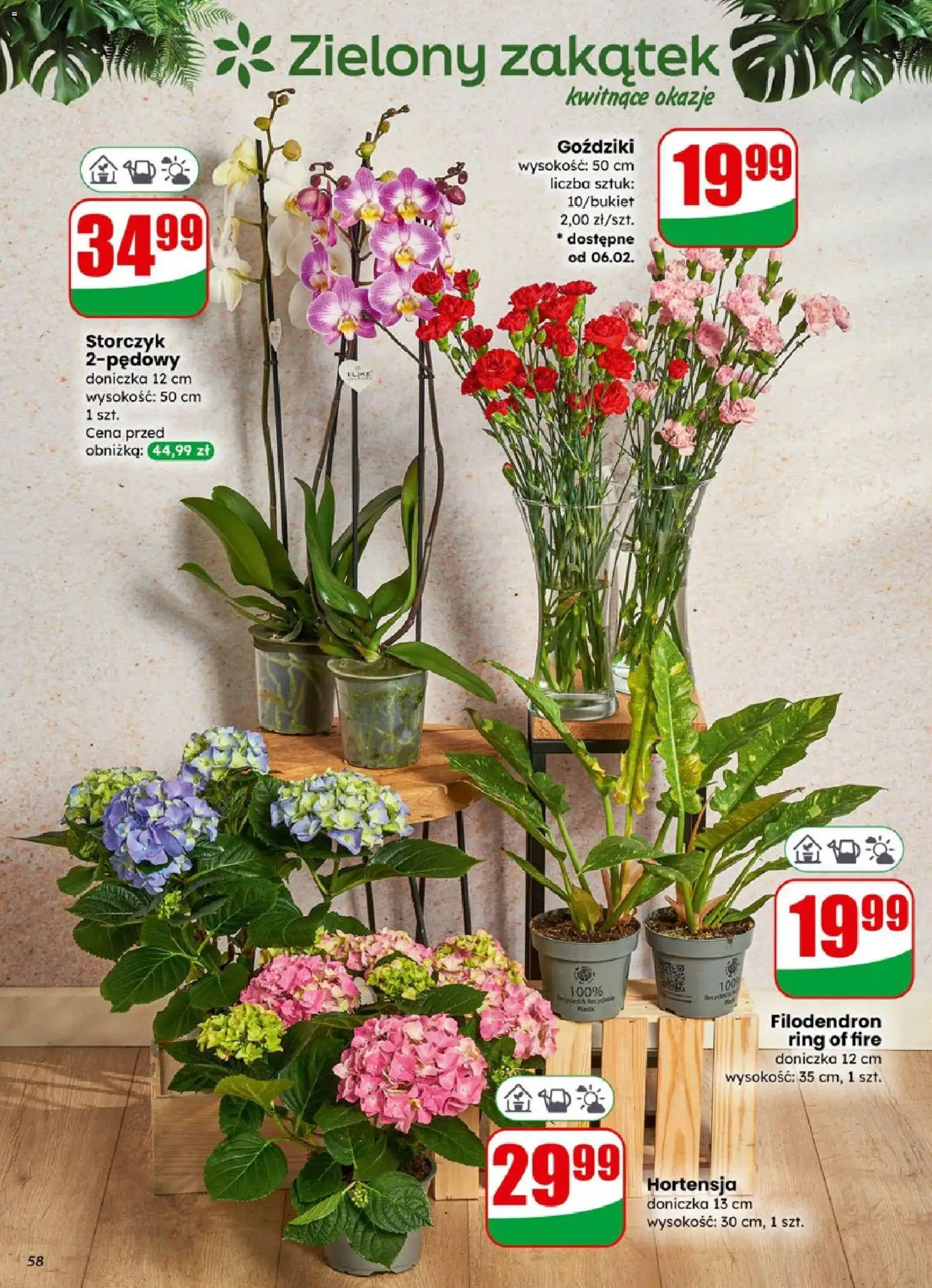 Dino Gazetka od 04.02.2026 | Strona: 58