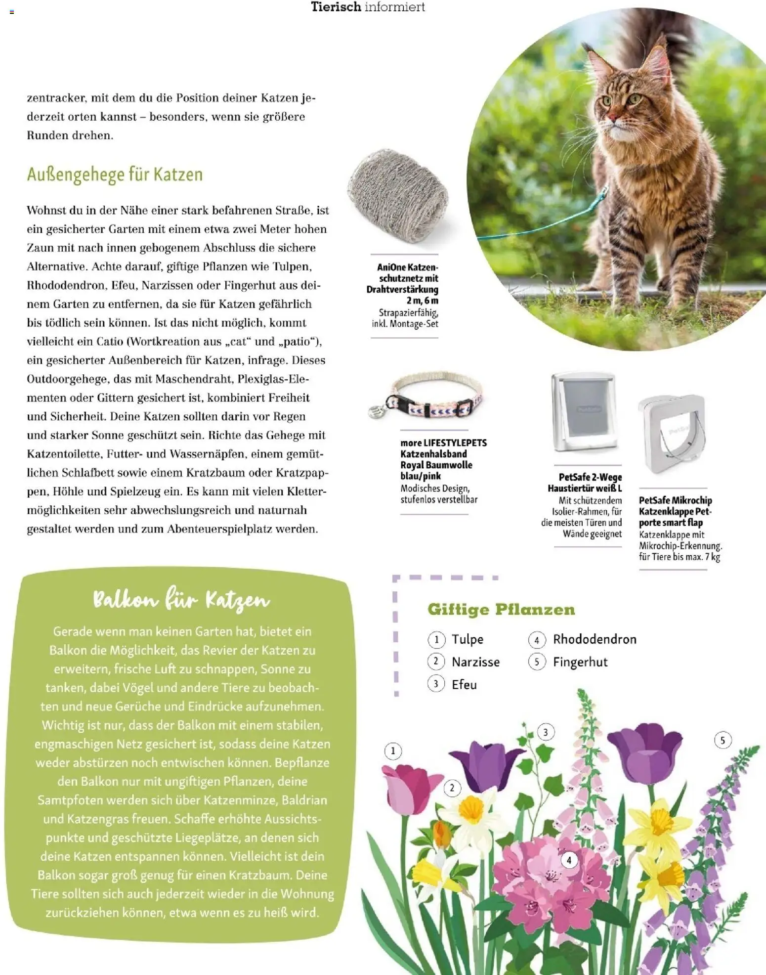 Die besten Angebote | Fressnapf Friends 02/26 ab 01.03.2026 | - Jetzt stöbern! | Austria