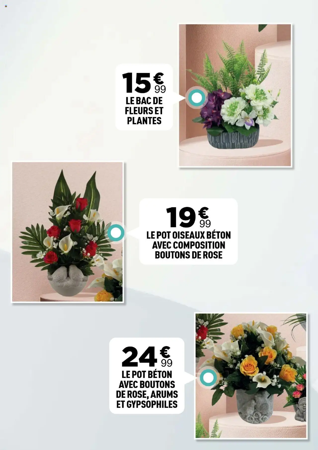 {H1} | Page: 22 | Produits: Plantes, Fleurs et plantes