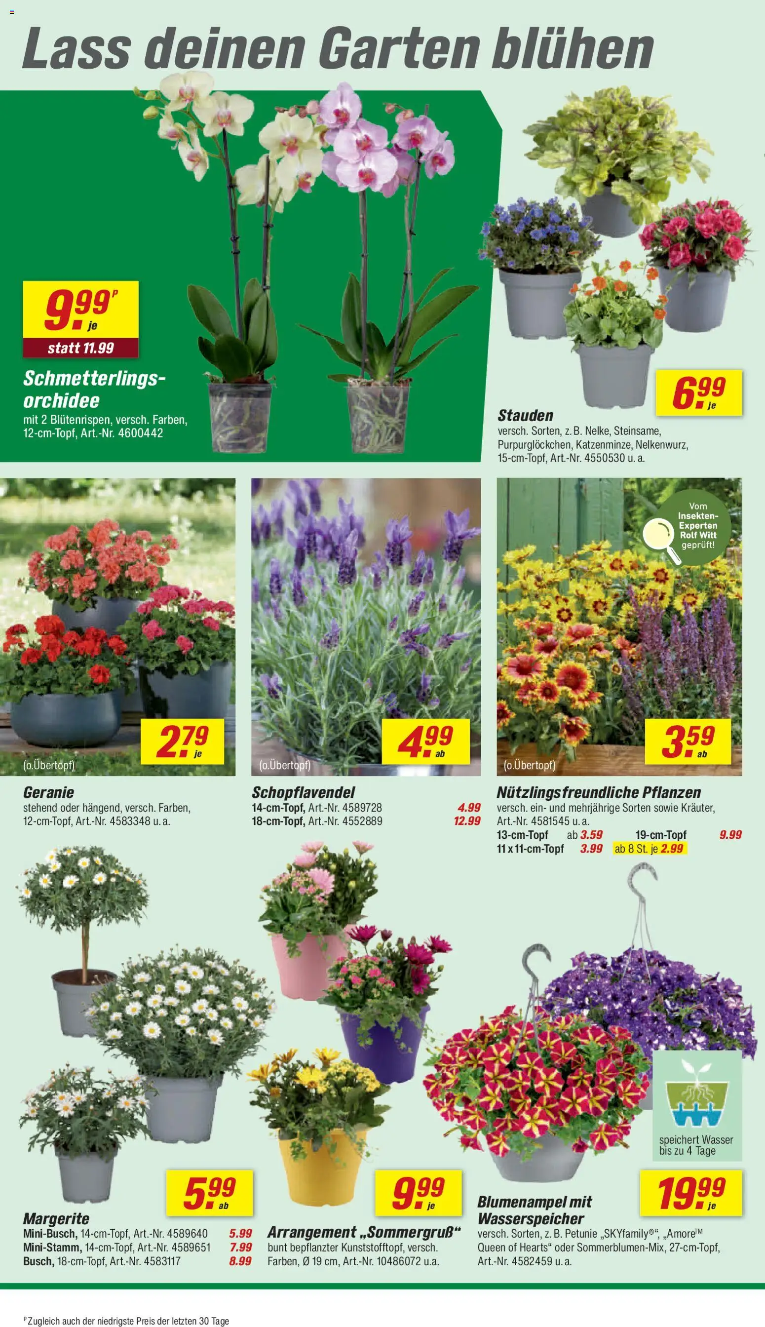 Toom Baumarkt Prospekt 	 – gültig ab 18.04.2026 | Seite: 6 | Produkte: Orchidee, Wasser