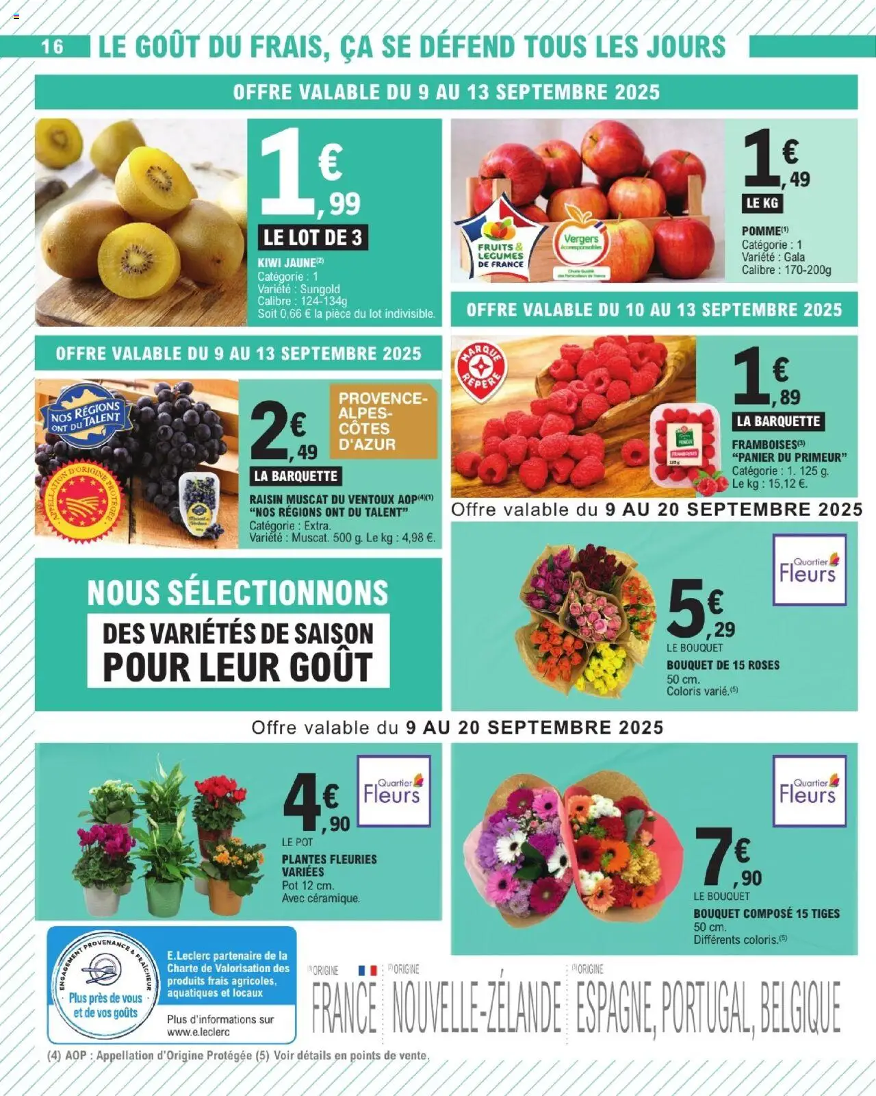  | Page: 16 | Produits: Pomme, Raisin, Plantes, Kiwi