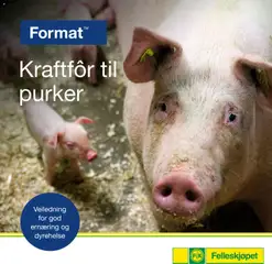 Forhåndsvisning av Felleskjøpet Kraftfôr til purker gyldig fra 02.01.2026