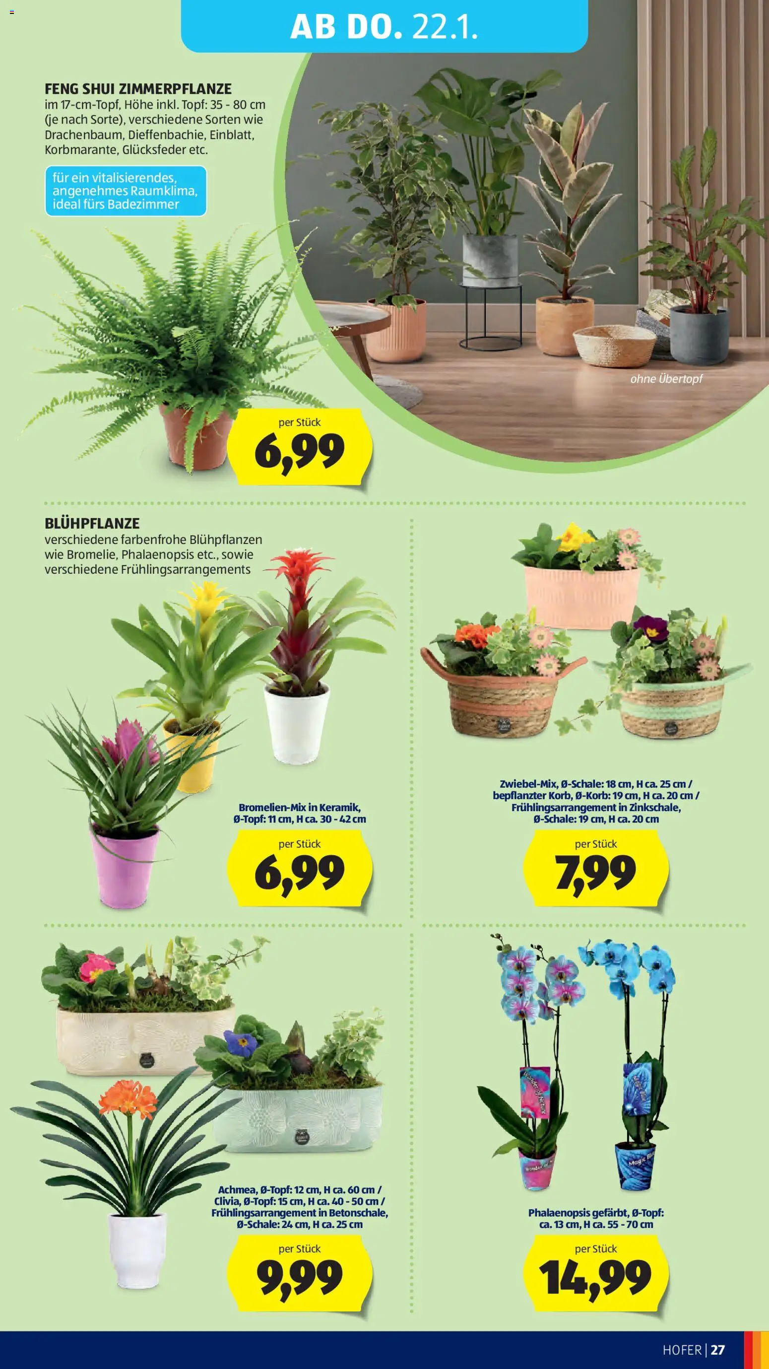 Hofer AT akciós ujság - amely érvényes a következő dátumtól: 16.01.2026 | Oldal: 31