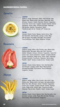 Pré-visualização Makro Especial Frutas e Verduras 2026 válido de 06.03.2026 | Página: 66