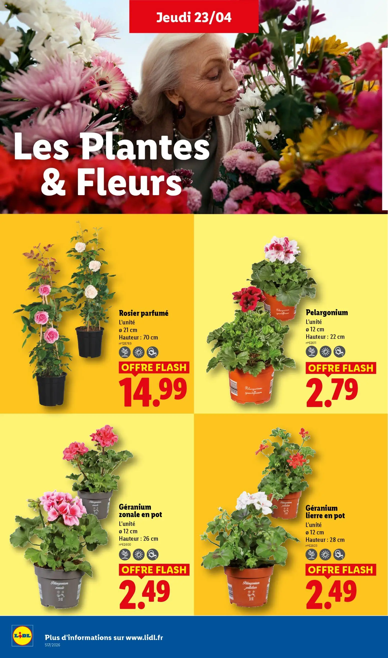 {H1} | Page: 26 | Produits: Rosier, Plantes, Géranium