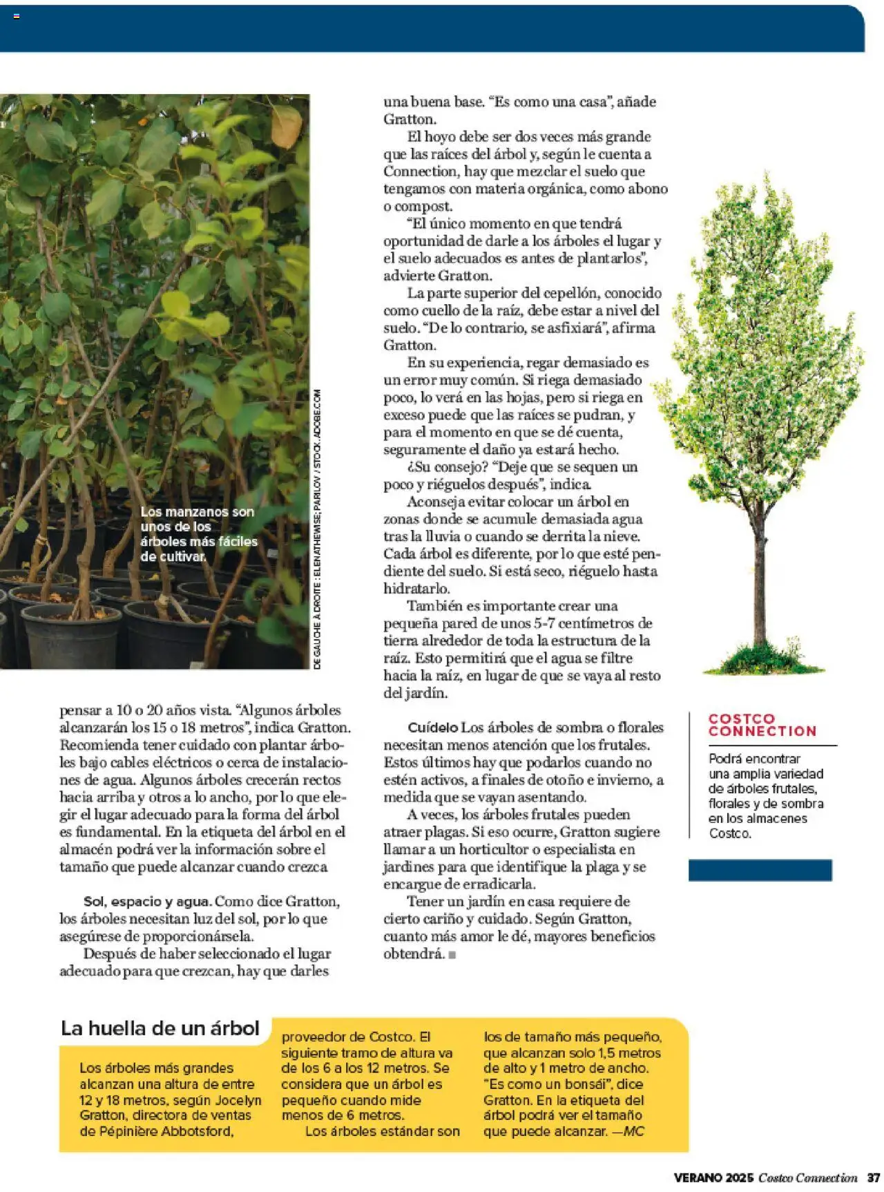 Costco catálogo │ válido desde el 03.07.2025 | Página: 37 | Productos: Sombra
