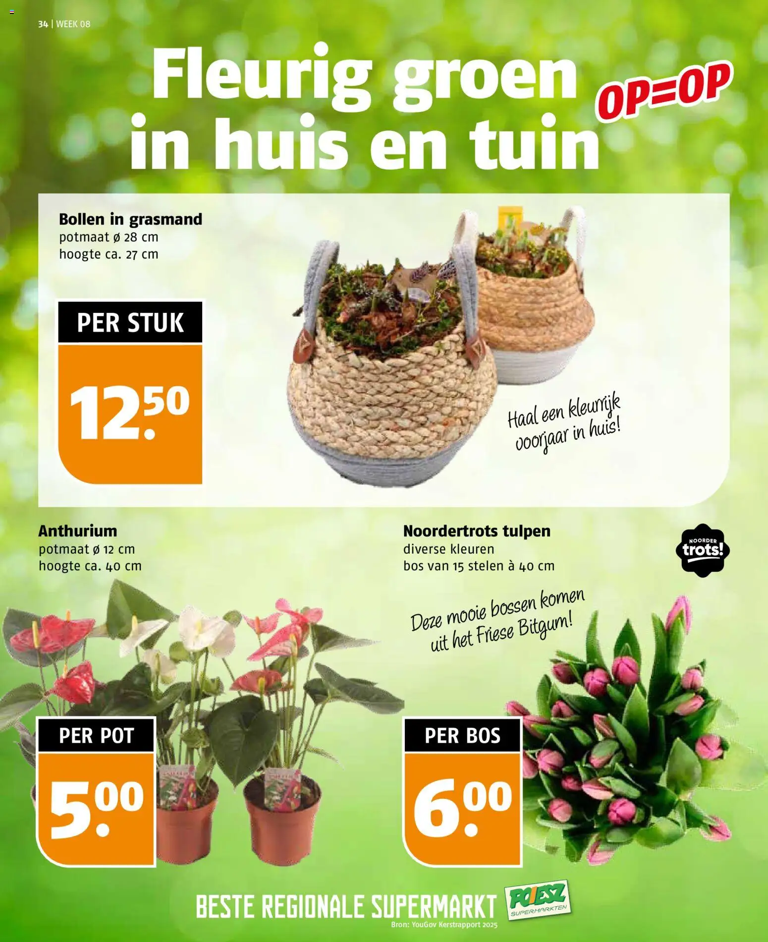 {H1} | Pagina: 34 | Producten: Pot