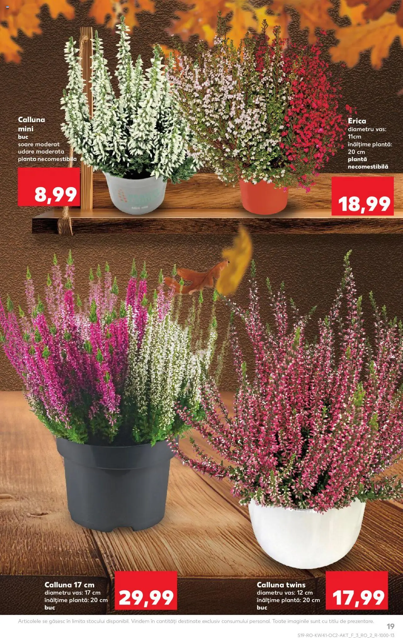 Kaufland RO akciós ujság - amely érvényes a következő dátumtól: 08.10.2025 | Oldal: 19