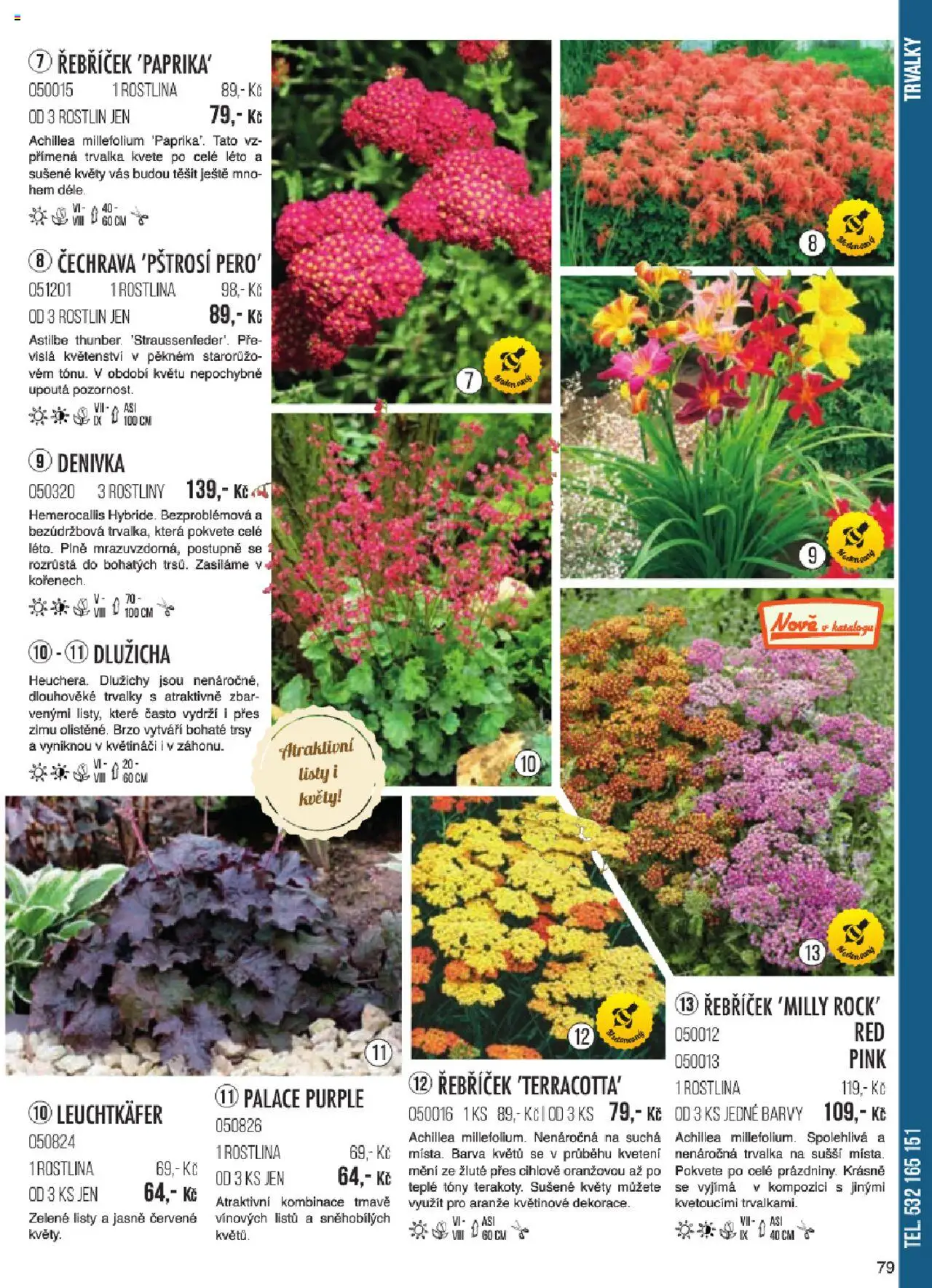 Starkl katalog jaro 2024 od 06.01.2025 | Strana: 79 | Produkty: Rostliny, Barvy