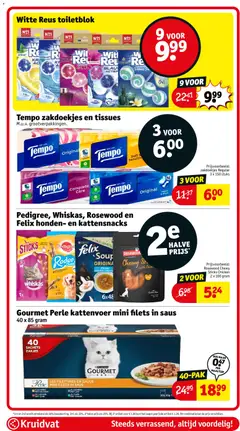 Tempo zakdoekjes en tissues, Tempo tissues in large packs. - Voorbeeld van een folder van Kruidvat, geldig van 13.01.2026 | Pagina: 88