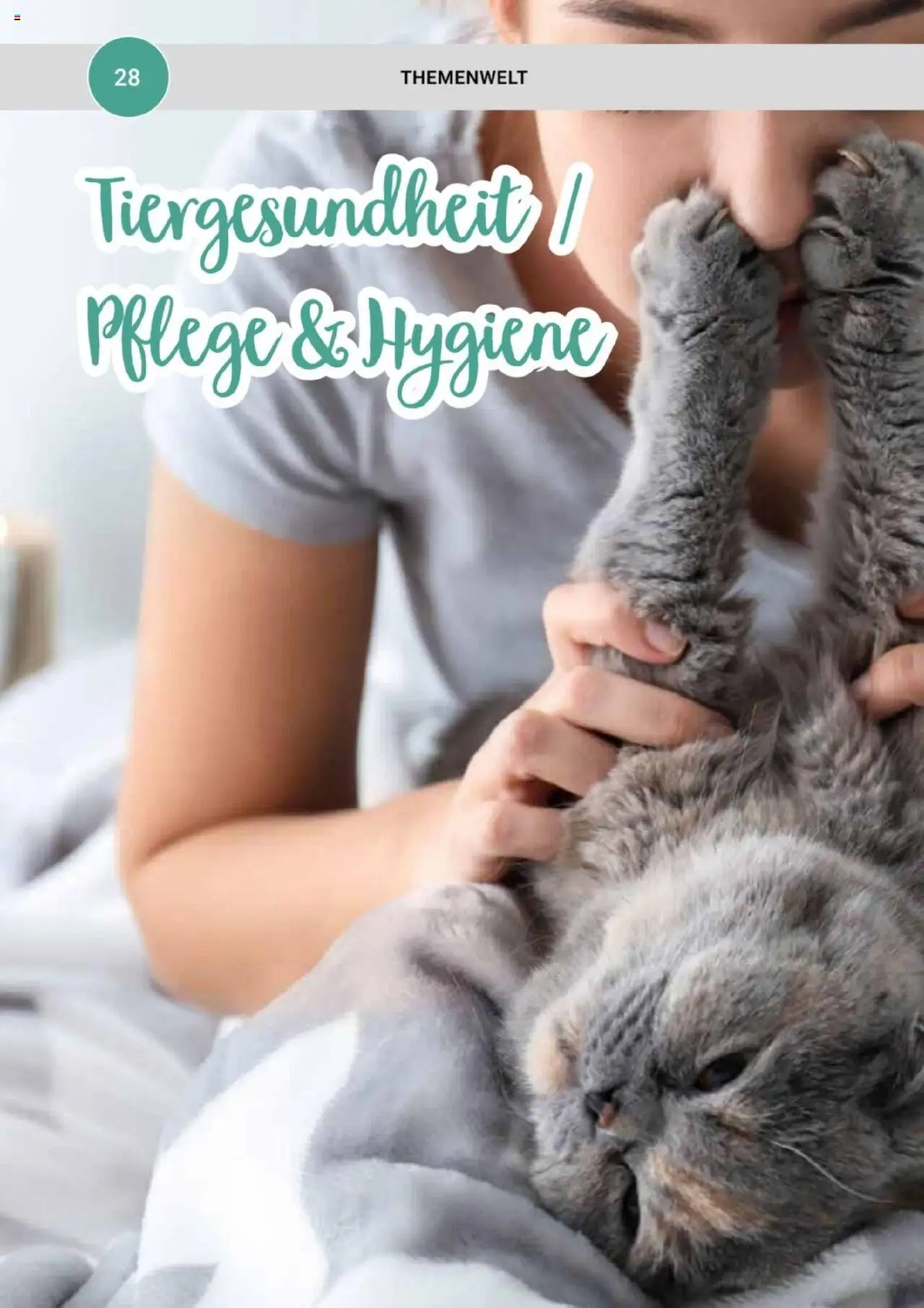 zookauf Themenkatalog Katze – gültig ab 01.10.2025 | Seite: 28