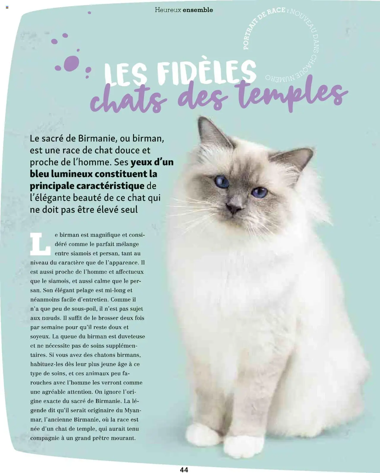  | Page: 44