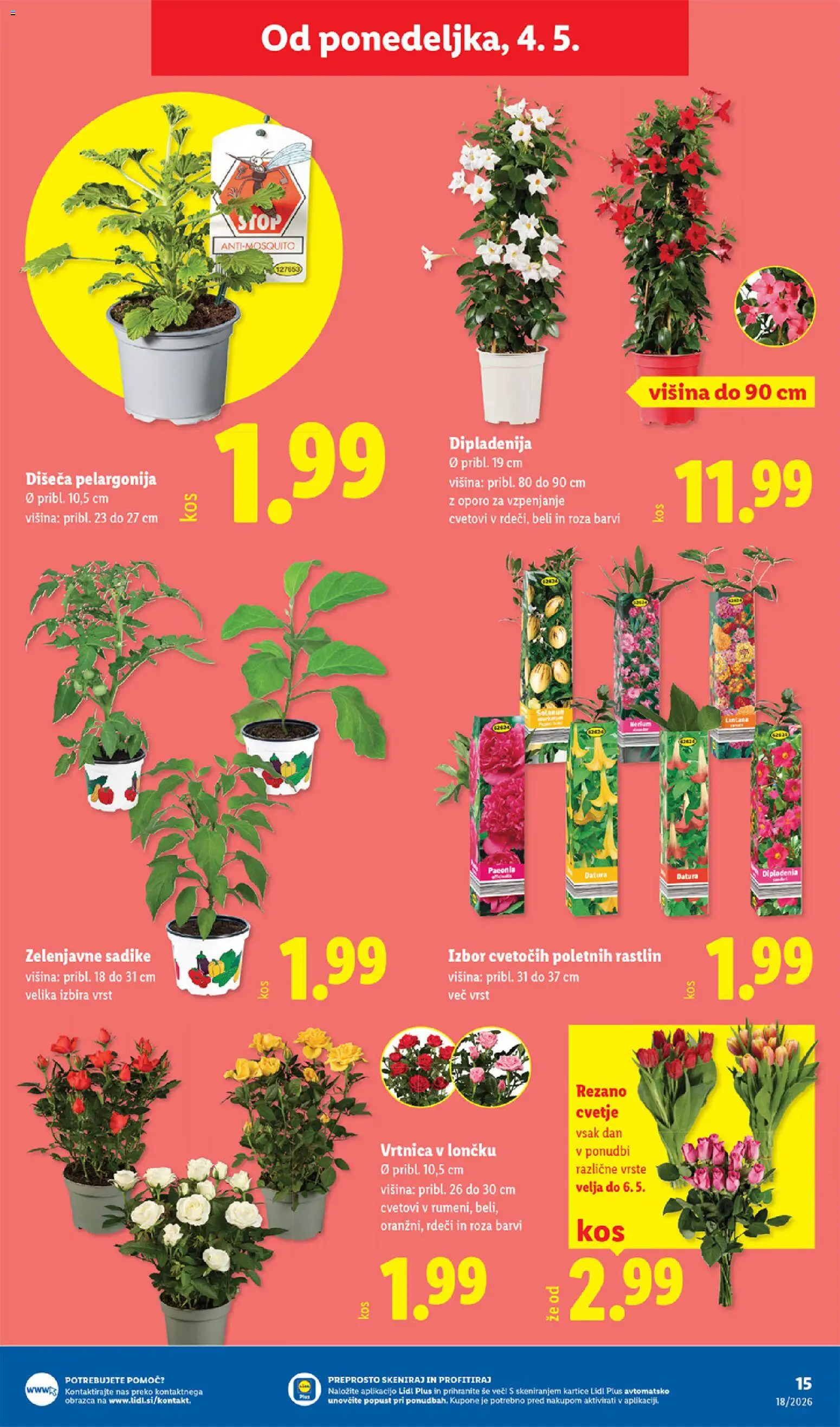 Novi Lidl katalog ponudbe – veljaven od 29.04.2026 | Stran: 27 | Izdelki: Cvetje