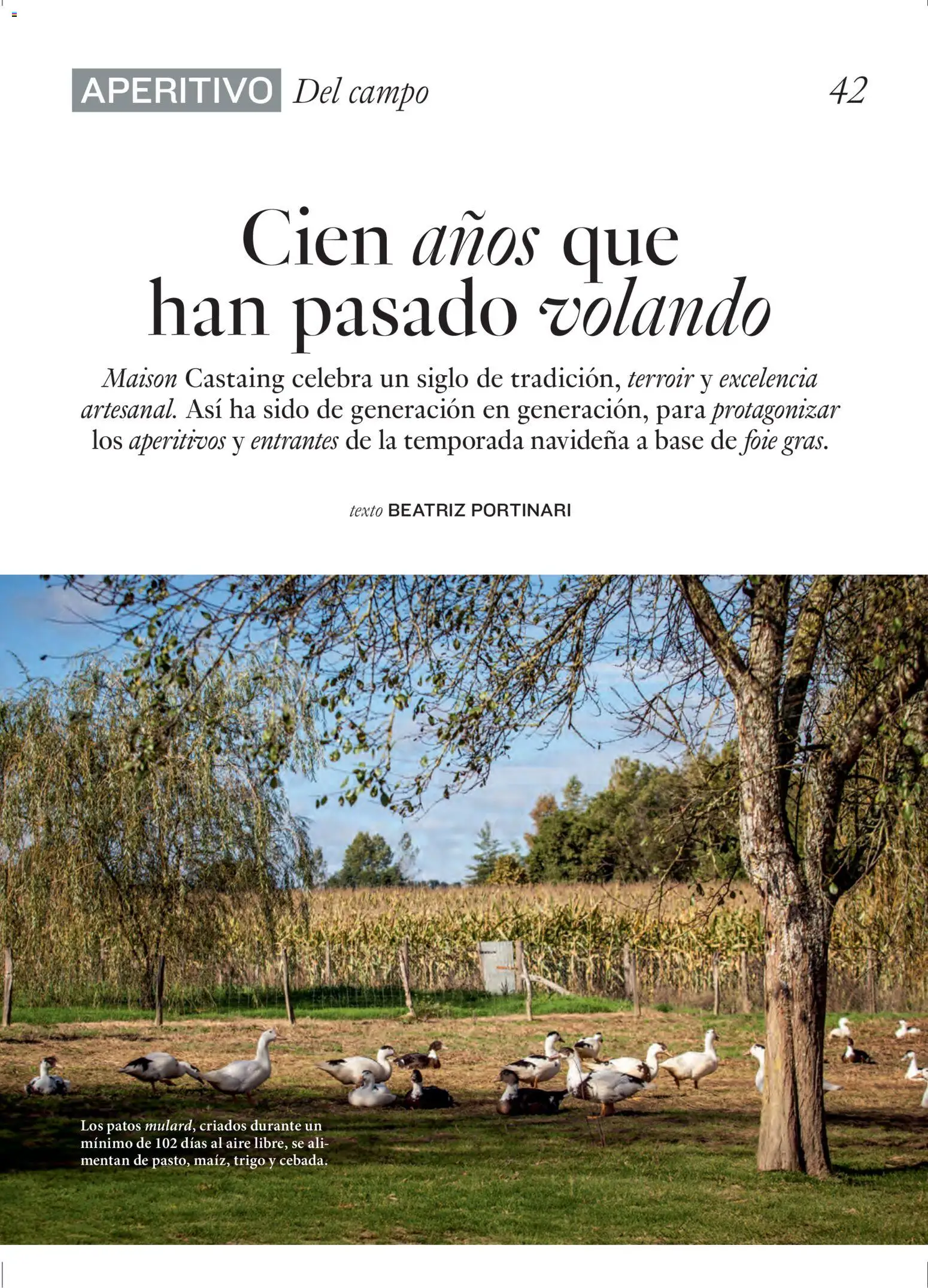 El Corte Inglés ofertas │ válido desde el 11.12.2025 | Página: 42