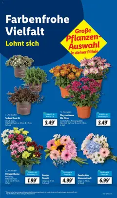 Lidl Prospekt 	 - gültig ab dem 04.08.2025 | Seite: 13 | Produkte: USB, Ladegerät, Monitor