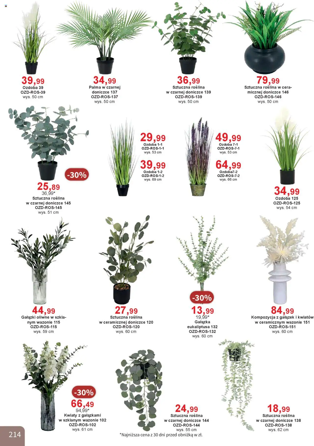 Bodzio Katalog od 01.10.2025 | Strona: 214 | Produkty: Kwiaty