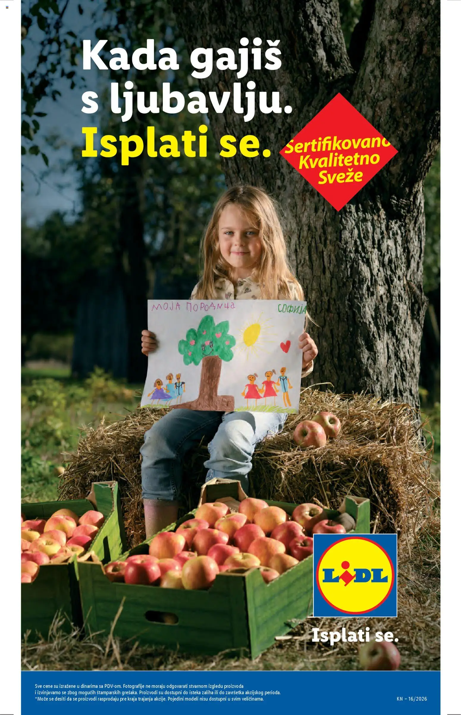 Lidl katalog - važi od 16.04.2026 | Strana: 17