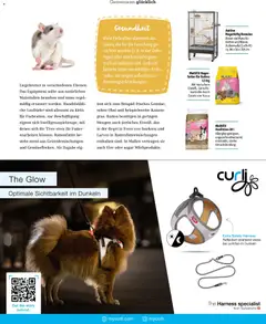 Fressnapf Magazin ab 01.11.2025 gültig | Seite: 41 | Produkte: Tisch, Eier