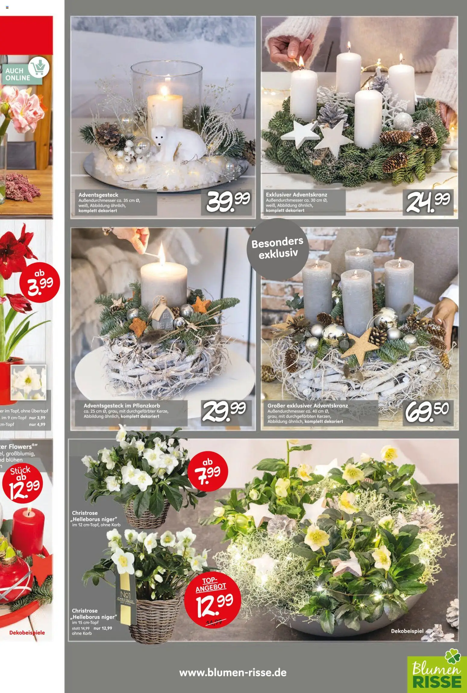 Blumen Risse Prospekt Gartencenter – gültig ab 13.11.2025 | Seite: 5 | Produkte: Top, Korb, Blumen