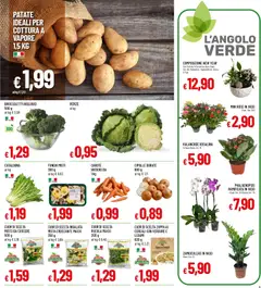 Anteprima del volantino Volantino Galassia	 valido a partire dal 29.12.2025 | Pagina: 5 | Prodotti: Cereali, Cipolle, Ciotola, Vaso