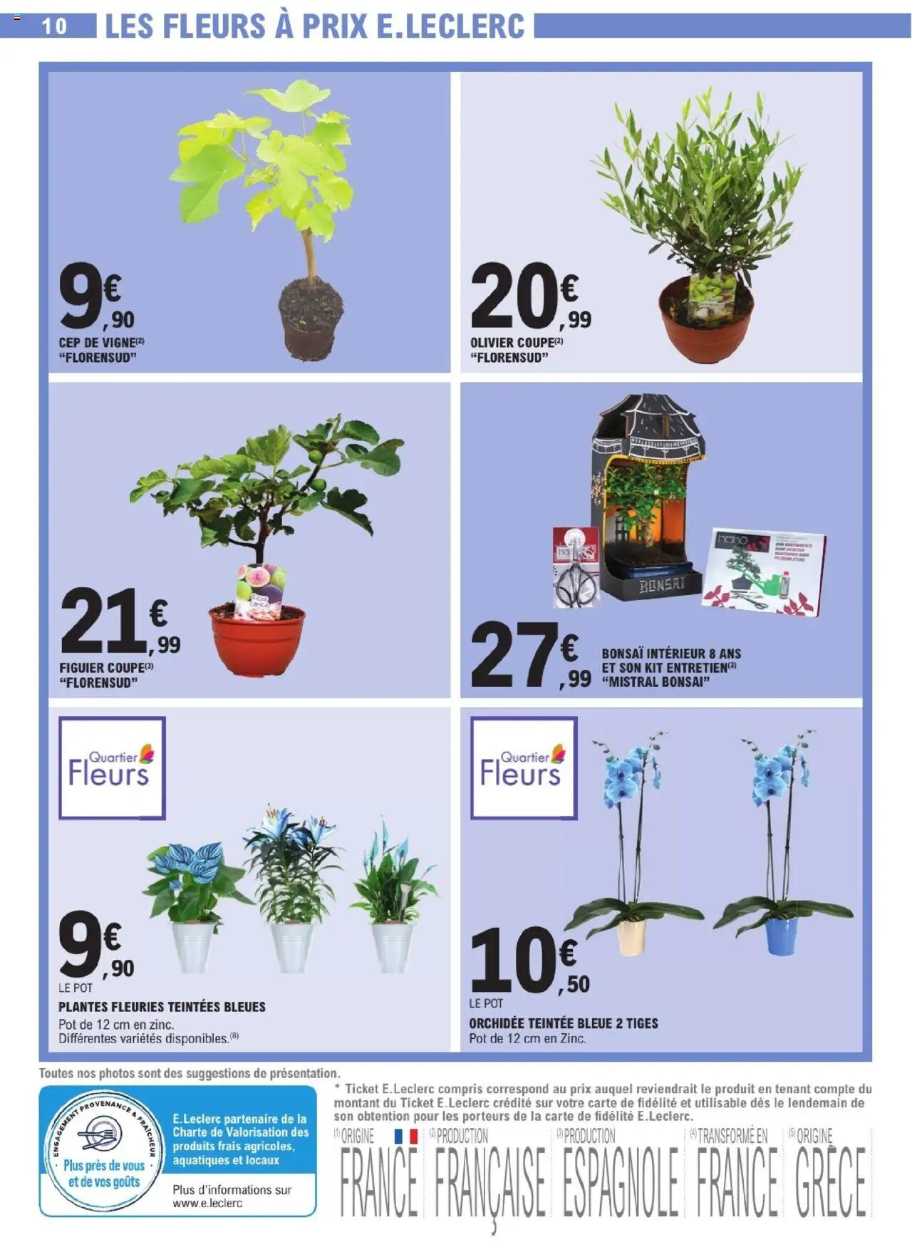 | Page: 10 | Produits: Bonsai, Plantes, Olivier, Orchidée