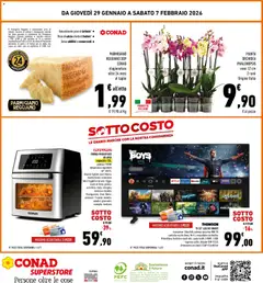 Anteprima del volantino Conad Superstore Campania catalogo valido a partire dal 29.01.2026 | Pagina: 32 | Prodotti: Friggitrice ad aria, Forno, Orchidea, Vaso