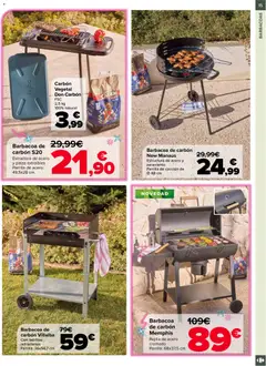 Vista previa Carrefour Jardin válido desde el 19.02.2026 | Página: 15 | Productos: Barbacoa, Parrilla