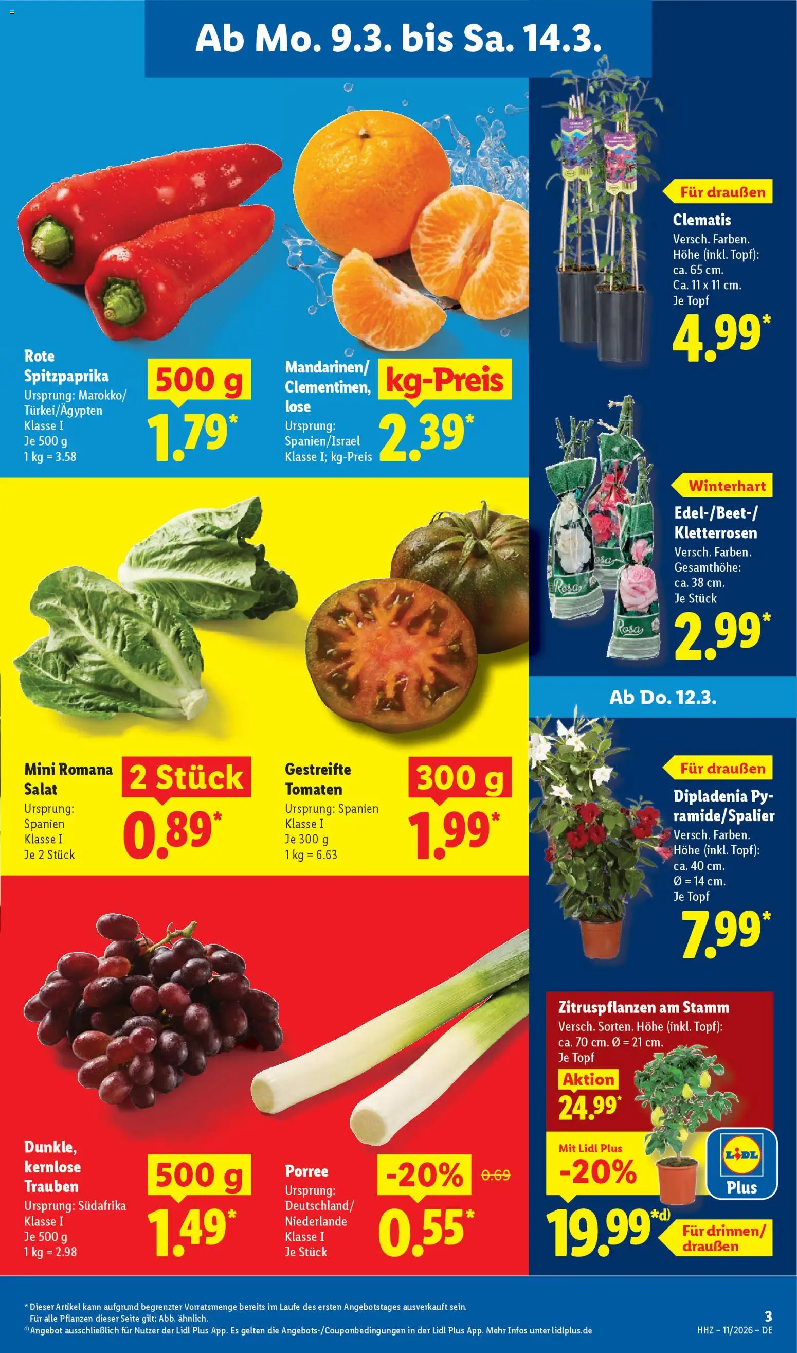 Lidl Prospekt – gültig ab 09.03.2026 | Seite: 5 | Produkte: Trauben, Tomaten, Salat