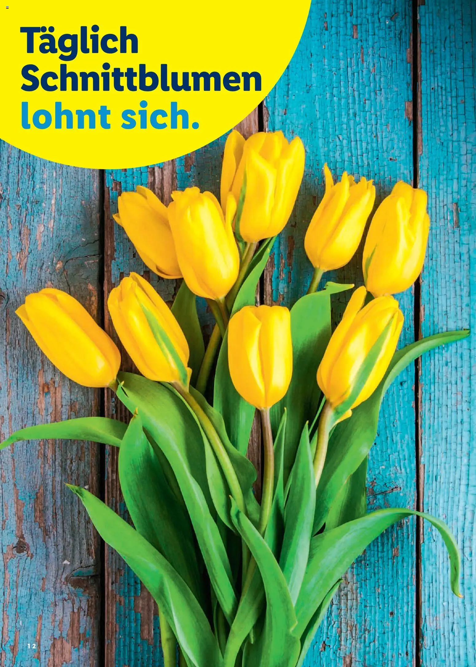 Lidl Aktionen Ostern – gültig ab 26.02.2026 | Seite: 12
