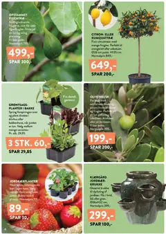 Plantorama - Tilbudsavis gyldig fra 10.04.2026 | Side: 4