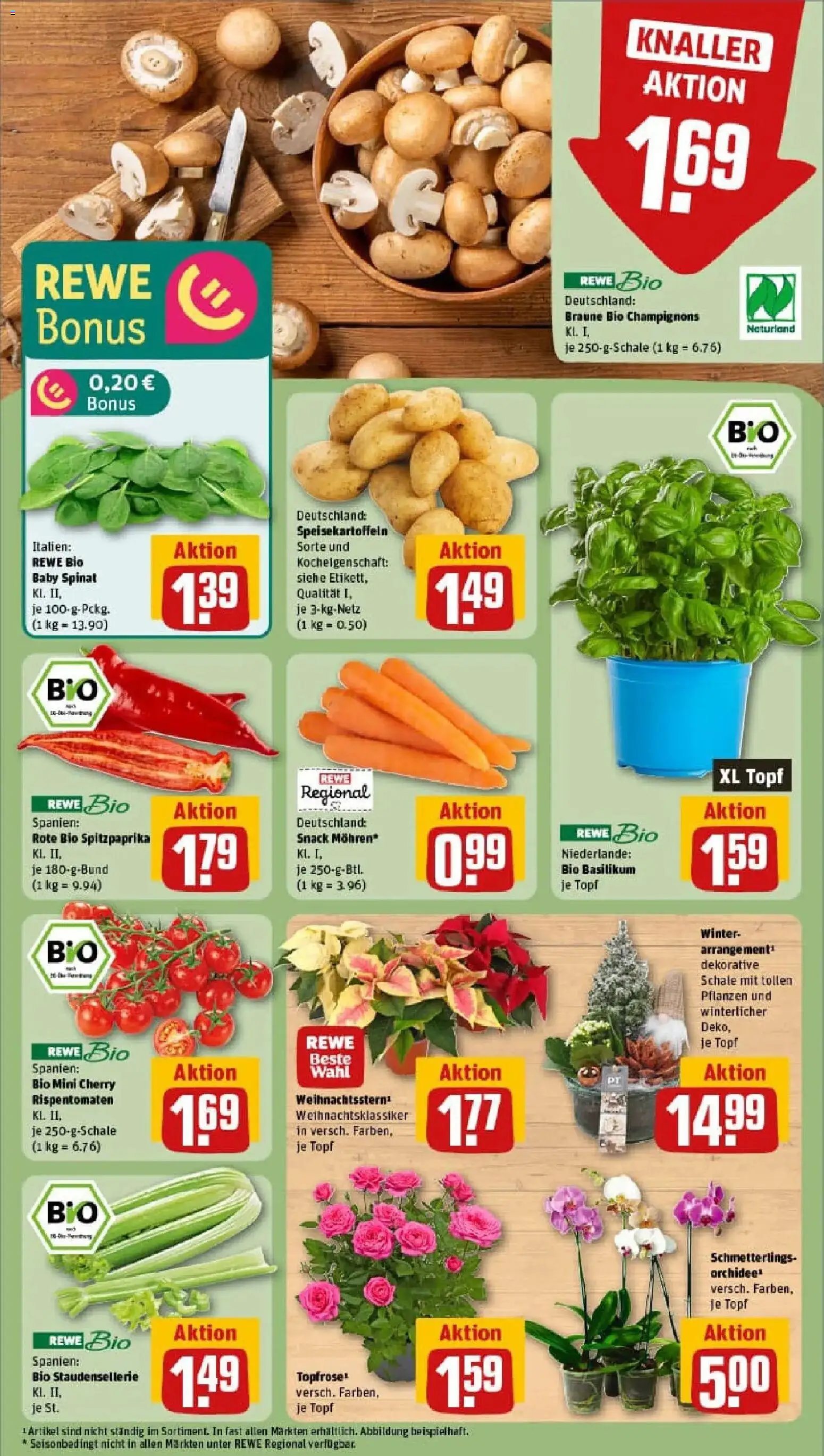 Rewe prospekt Duisburg / Wanheimerort	 – gültig ab 10.11.2025 | Seite: 7 | Produkte: Orchidee, Mohren, Champignons