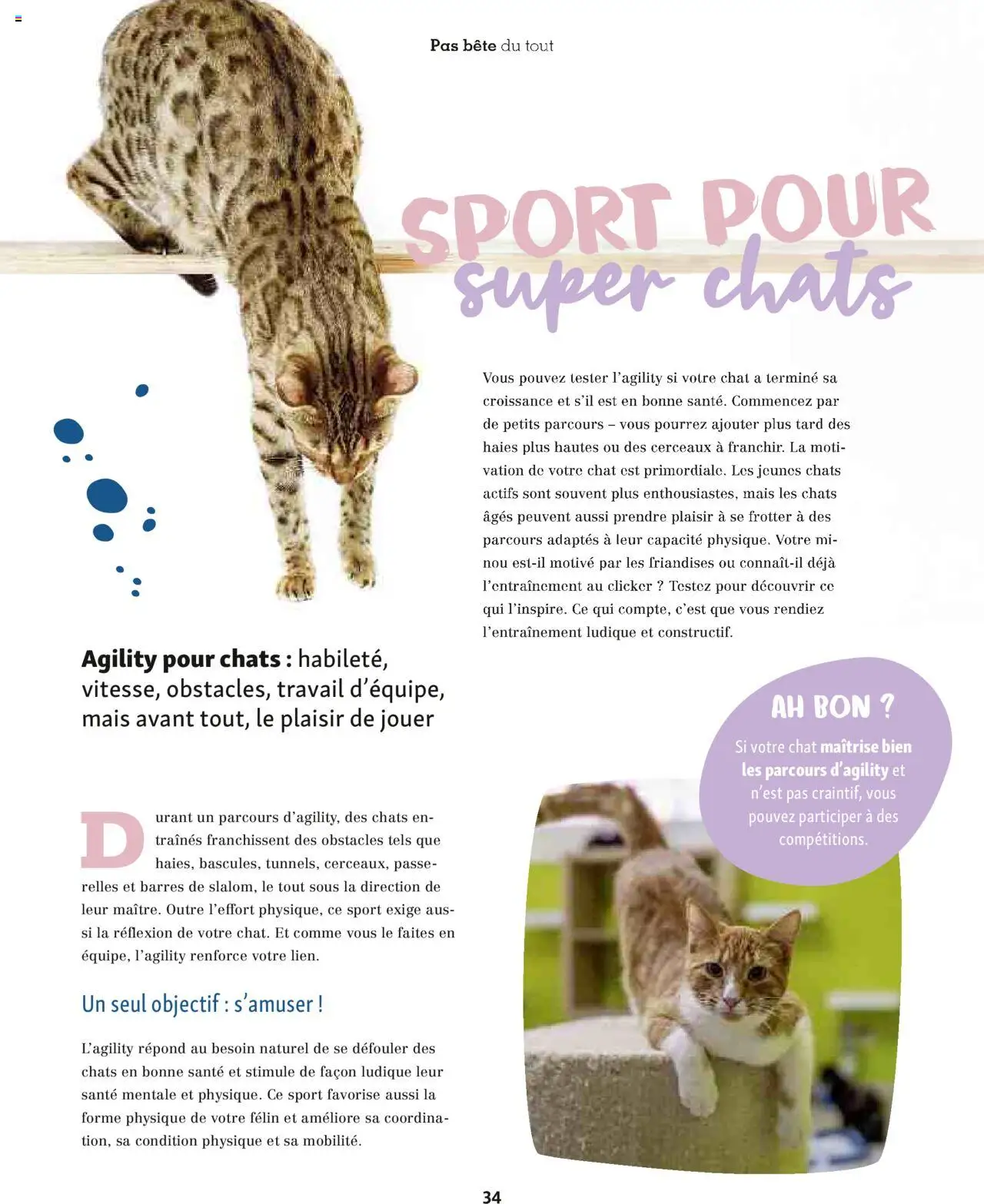  | Page: 34 | Produits: Mais