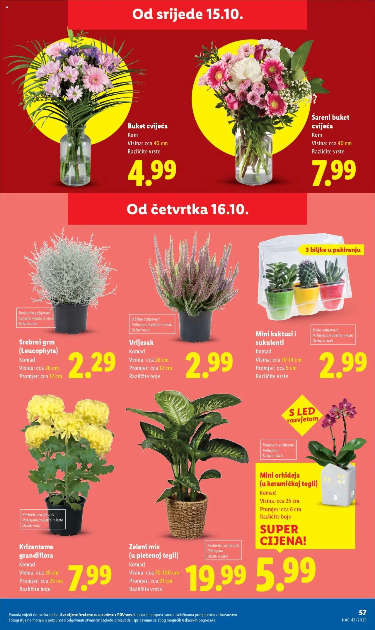 Lidl katalog | vrijedi od 13.10.2025 | Stranica: 57 | Proizvodi: Orhideja