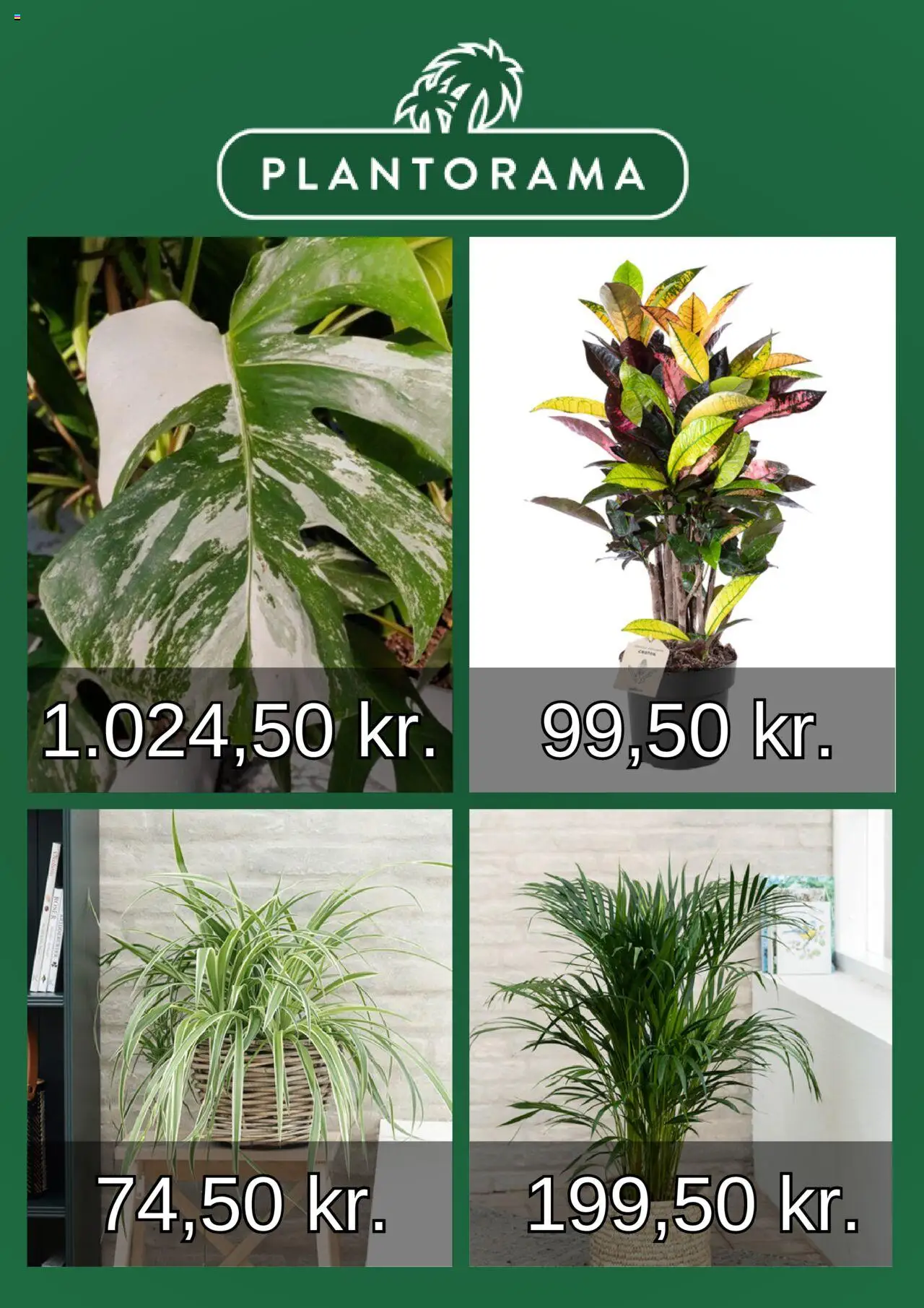 Plantorama Tilbudsavis gyldig fra 10.08.2025 | Side: 5