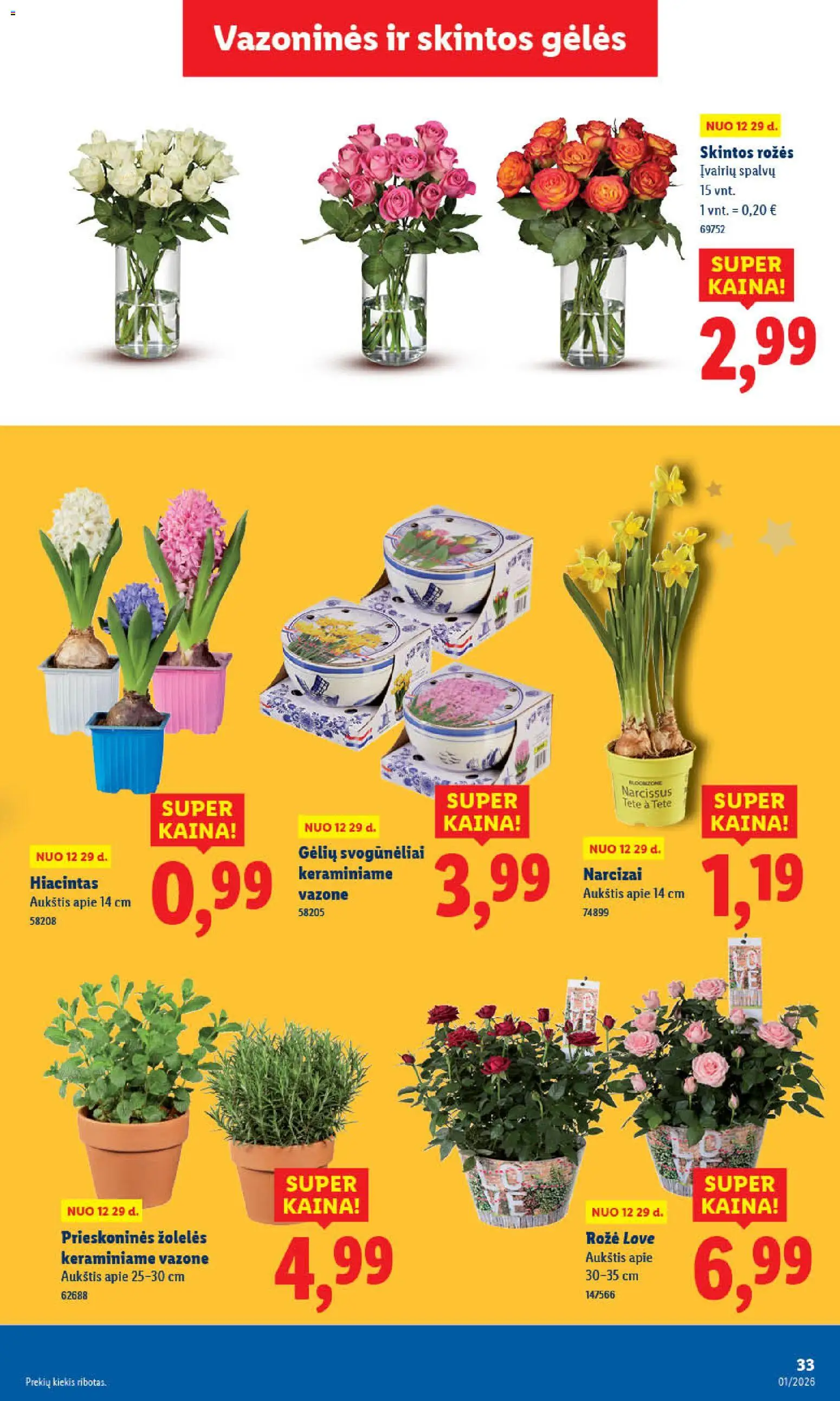 LIDL akcijos nuo 02.01.2026 | Puslapis: 37