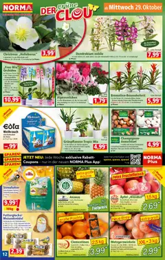 Norma Flugblatt ab 27.10.2025 gültig | Seite: 13 | Produkte: Äpfel, Ananas