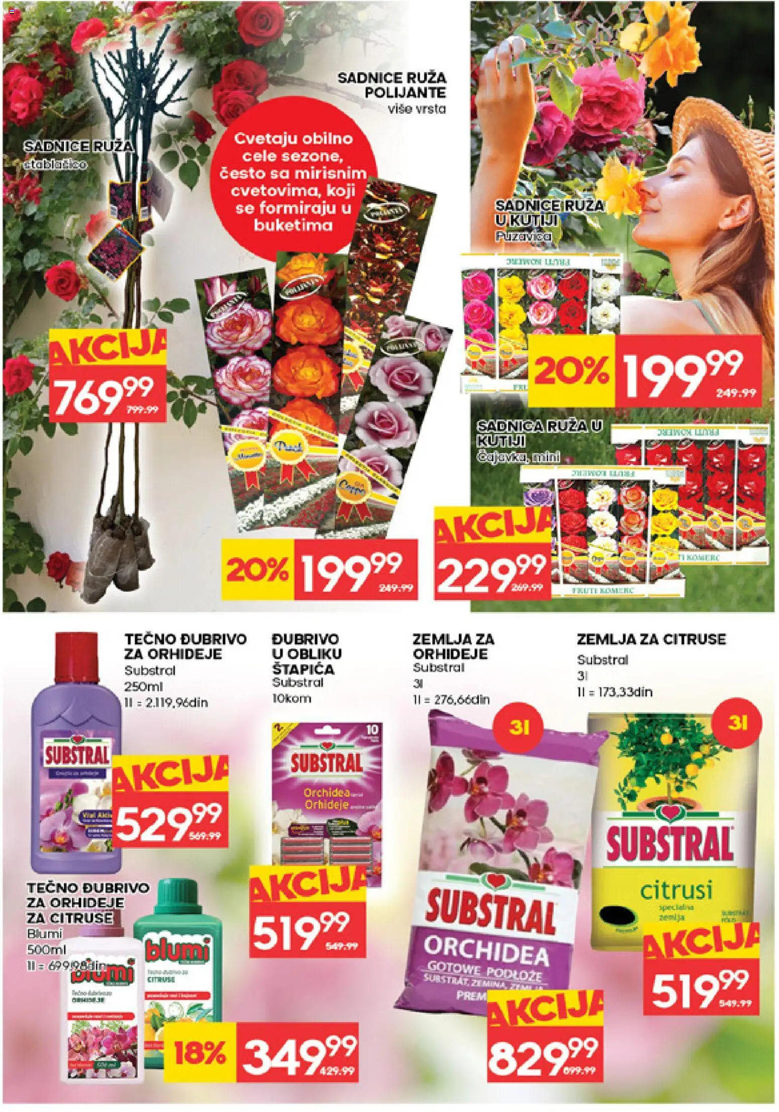 Idea katalog - važi od 12.03.2026 | Strana: 31 | Proizvode: Zemlja